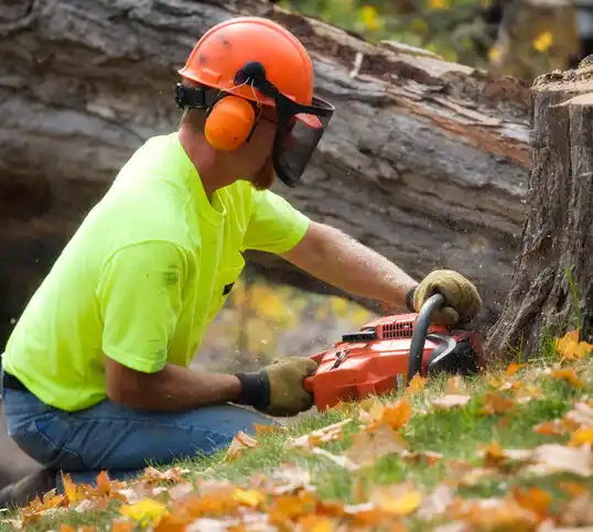 tree services Crooksville